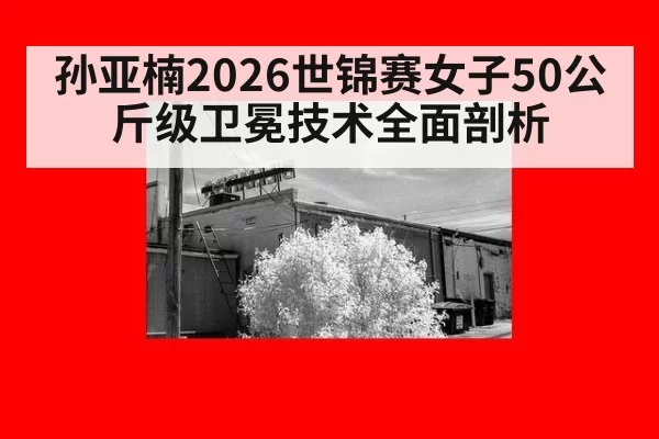孙亚楠2026世锦赛女子50公斤级卫冕技术全面剖析